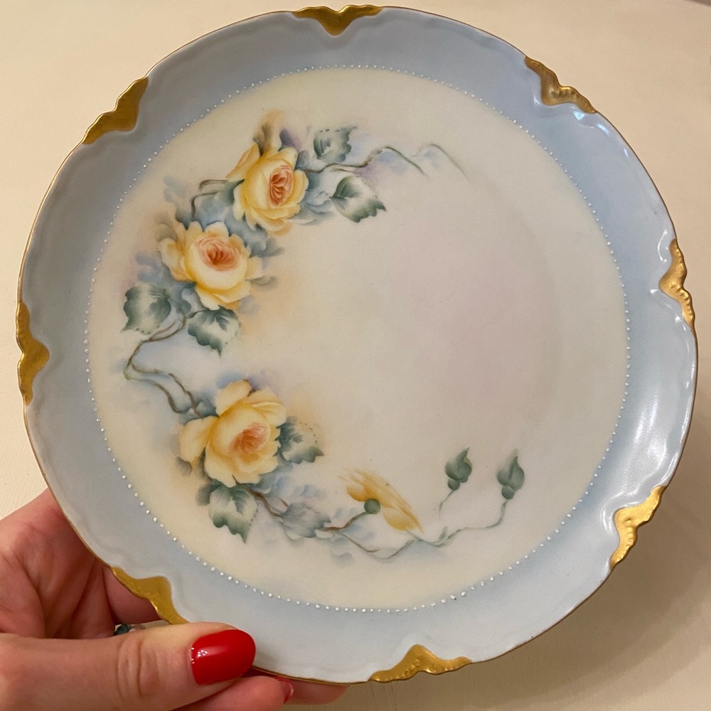 Really old vintage Austria blue plate